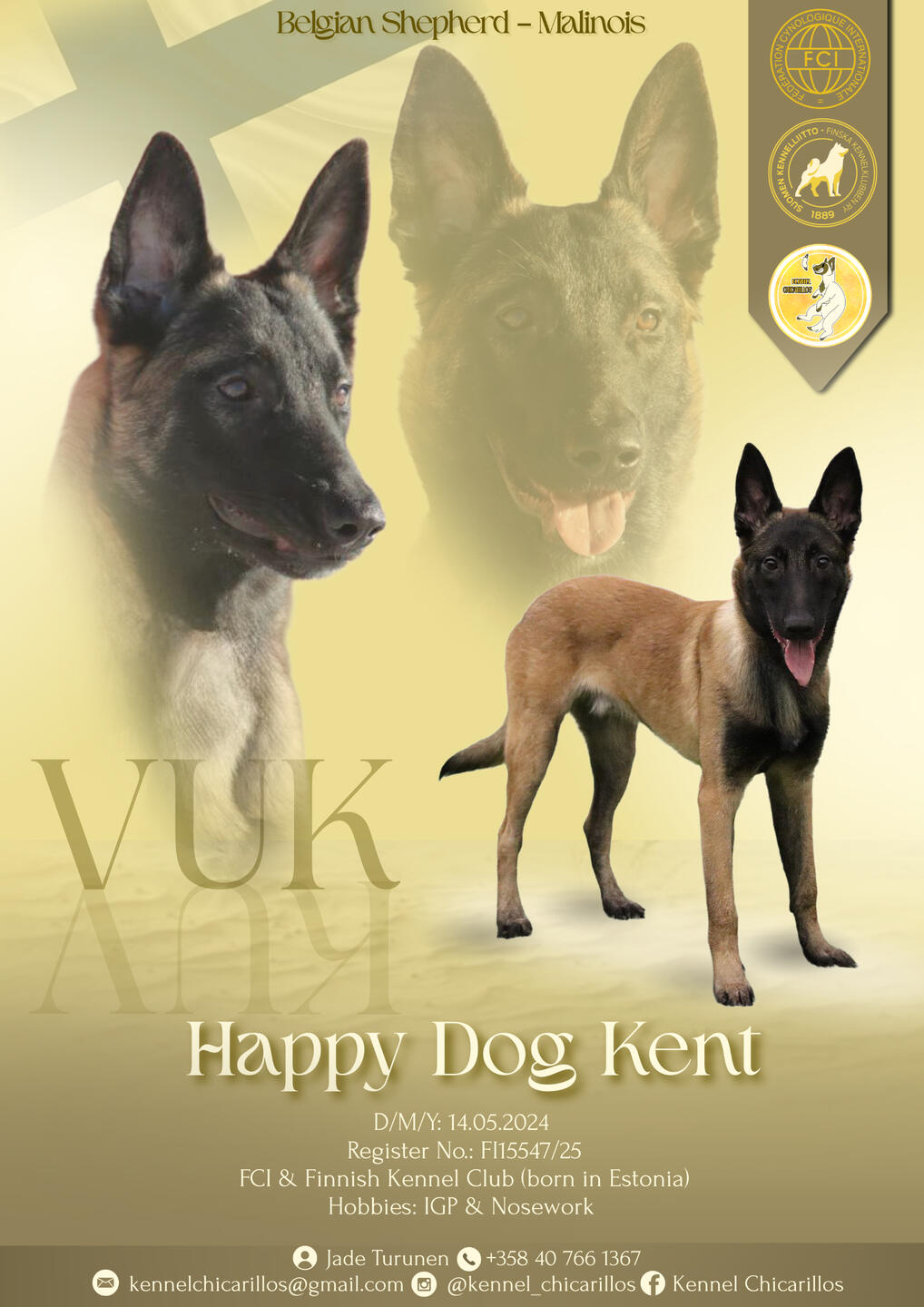 Happy dog kent Happy dog kent